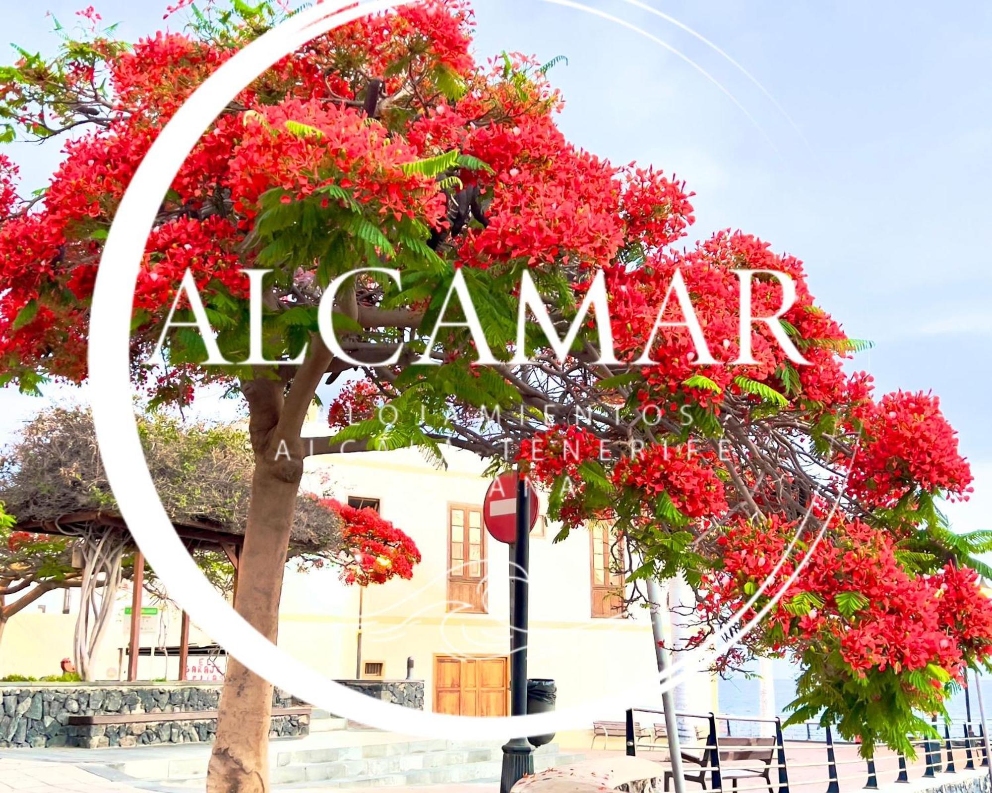 Alcamar Habitacion Privada Con Las Areas De Sala, Cocina Y Bano Que Se Comparten Cerca Al Mar! Alcala  Ngoại thất bức ảnh